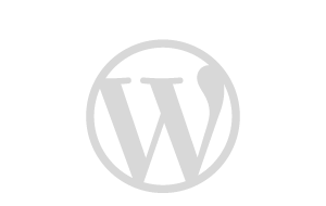 WordPress Kursus